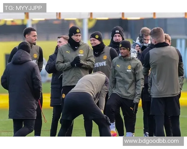 勒沃库森主场迎战多特蒙德双方争夺德甲积分榜重要位置